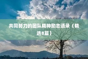 共同努力的团队精神励志语录（精选8篇）