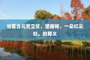 浴罢含元宣立仗，望赭袍、一朵红云吐。的释义