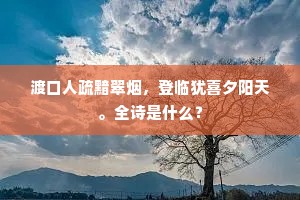 渡口人疏黯翠烟，登临犹喜夕阳天。全诗是什么？