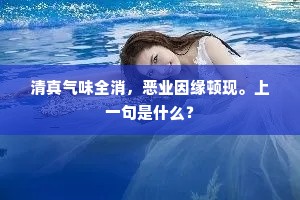 清真气味全消，恶业因缘顿现。上一句是什么？