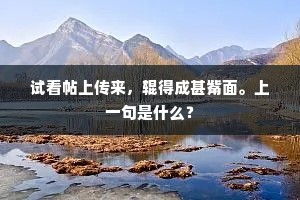 试看帖上传来，辊得成甚觜面。上一句是什么？
