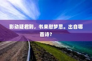 影动疑君到，书来慰梦思。出自哪首诗？