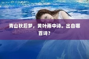 青山秋后梦，黄叶雨中诗。出自哪首诗？