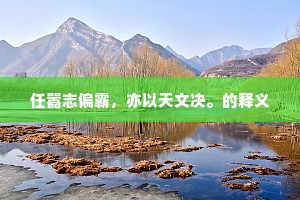 任嚣志偏霸，亦以天文决。的释义
