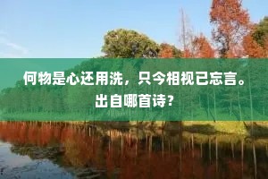 何物是心还用洗，只今相视已忘言。出自哪首诗？