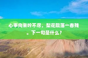 心事向来吟不尽，梨花院落一春残。下一句是什么？