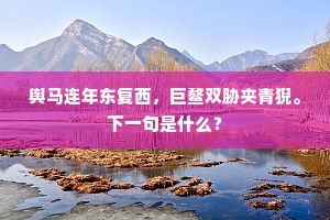 舆马连年东复西，巨鳌双胁夹青猊。下一句是什么？