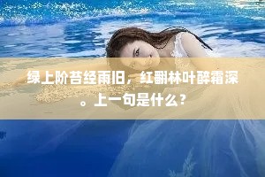 绿上阶苔经雨旧，红翻林叶醉霜深。上一句是什么？