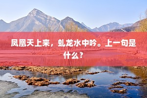 凤凰天上来，虬龙水中吟。上一句是什么？
