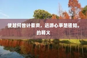 使越何曾计橐资，远游心事楚骚知。的释义