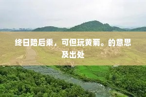 终日陪后乘，可但玩黄菊。的意思及出处