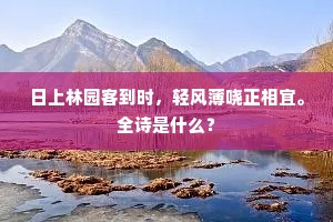 日上林园客到时，轻风薄哓正相宜。全诗是什么？
