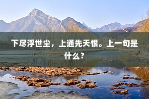 下尽浮世尘，上通先天恨。上一句是什么？