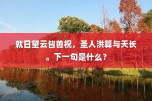 就日望云皆善祝，圣人洪算与天长。下一句是什么？