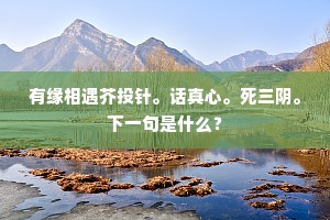 有缘相遇芥投针。话真心。死三阴。下一句是什么？