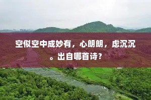 空似空中成妙有，心朗朗，虑沉沉。出自哪首诗？