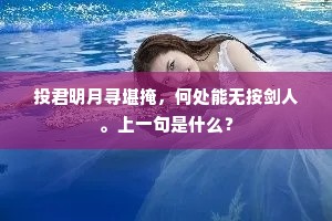 投君明月寻堪掩，何处能无按剑人。上一句是什么？