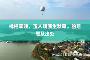 枇杷翠晚，玉人魂断生秋草。的意思及出处