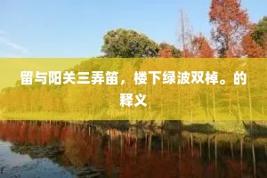 留与阳关三弄笛，楼下绿波双棹。的释义