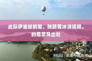 此际伊谁披鹤氅，映肠胃冰清镜朗。的意思及出处