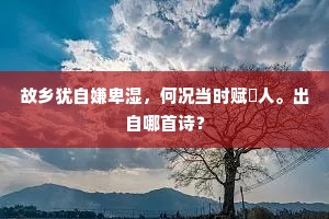 故乡犹自嫌卑湿，何况当时赋鵩人。出自哪首诗？