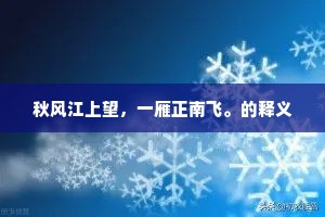 秋风江上望，一雁正南飞。的释义