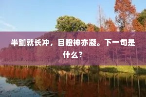 半跏就长冲，目瞪神亦凝。下一句是什么？