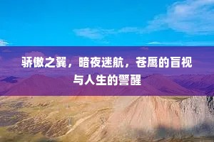 骄傲之翼，暗夜迷航，苍鹰的盲视与人生的警醒