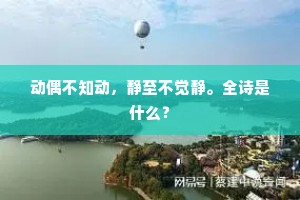 动偶不知动，静至不觉静。全诗是什么？