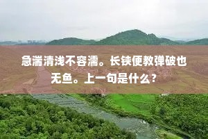 急湍清浅不容濡。长铗便教弹破也无鱼。上一句是什么？