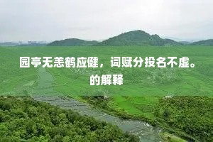 园亭无恙鹤应健，词赋分投名不虚。的解释