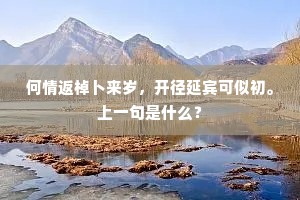何情返棹卜来岁，开径延宾可似初。上一句是什么？