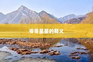 零零星星的释义