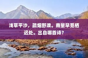 浅草平沙，疏烟野渡。商量早觅栖迟处。出自哪首诗？