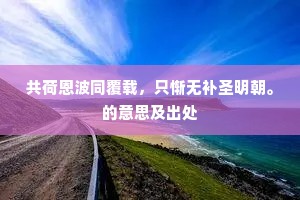 共荷恩波同覆载，只惭无补圣明朝。的意思及出处