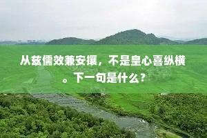 从兹儒效兼安攘，不是皇心喜纵横。下一句是什么？