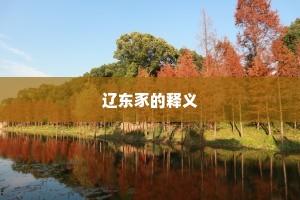 辽东豕的释义
