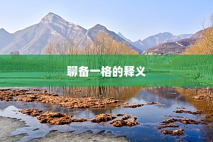 聊备一格的释义