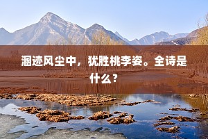 溷迹风尘中，犹胜桃李姿。全诗是什么？