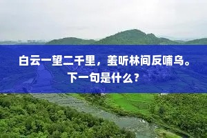 白云一望二千里，羞听林间反哺乌。下一句是什么？