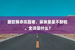 蹉跎我亦瓜园老，衰发星星不耐梳。全诗是什么？
