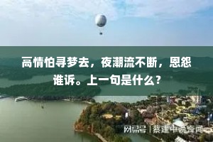 高情怕寻梦去，夜潮流不断，恩怨谁诉。上一句是什么？