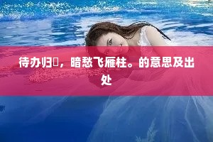 待办归艎，暗愁飞雁柱。的意思及出处