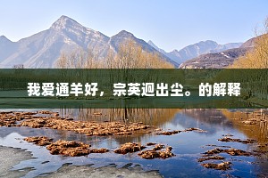 我爱通羊好，宗英迥出尘。的解释