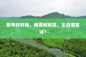 暝夺村村晓，晴蒸树树霞。出自哪首诗？