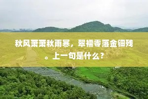 秋风萧萧秋雨寒，翠襦零落金钿残。上一句是什么？
