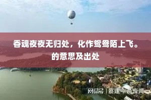 香魂夜夜无归处，化作鸳鸯陌上飞。的意思及出处