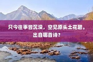 只今往事皆沉没，空见原头土花碧。出自哪首诗？