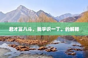 君才富八斗，我字识一丁。的解释