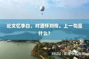 论文忆李白，对酒怀刘伶。上一句是什么？